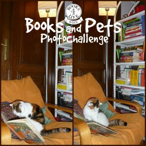 Books&Pets Gewinnspiel